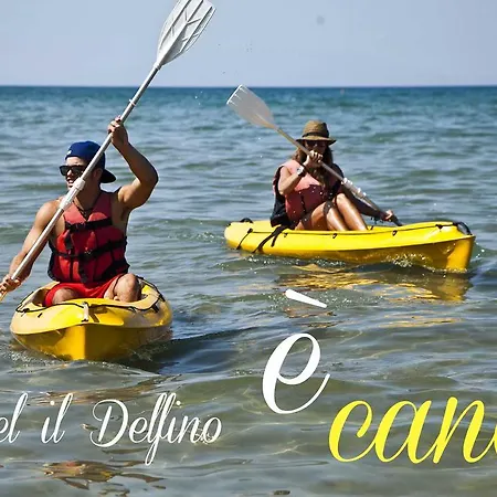 Il Delfino 3*