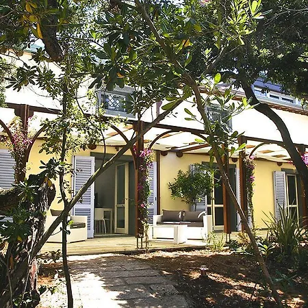 Il Delfino Hotel 3*